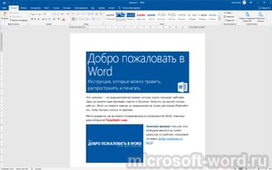 Word 2019